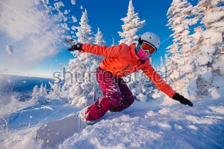 Картина маслом Скоростной спуск сноубордиста на фоне заснеженных елей 
