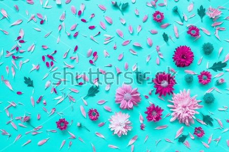 Картина Яркая композиция сиреневых и розовых цветов и лепестков астр на голубом фоне 