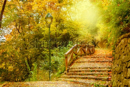 Картина Живописная каменная лестница в прекрасном осеннем парке Праги (Чехия) 