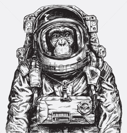 обезьяна космонавт арт
