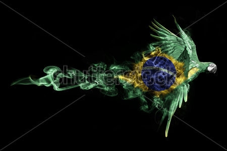 Картина Красивая иллюстрация с летящим попугаем, символом летних Олимпийских игр в Бразилии 