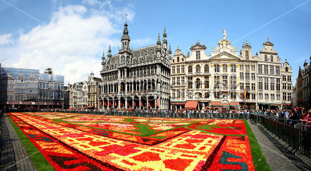Картина Знаменитый турецкий цветочный ковёр на исторической площади Гран-Плас в Брюсселе 