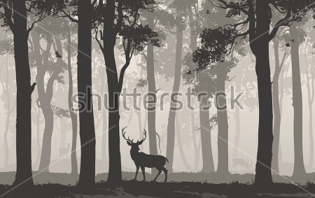 Постер Монохромная иллюстрация тихого утреннего леса с оленем  
