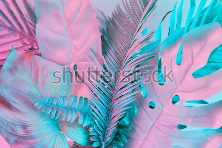 Картина Коллаж из различных листьев в розово-голубом освещении 