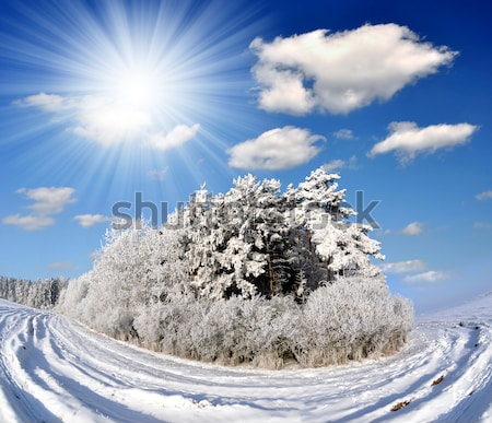 Картина Зимний пейзаж с ярким солнцем в необычном ракурсе 