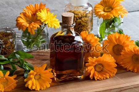 Картина Красивый натюрморт с цветами календулы, бутылочкой настойки, склянками с сухими цветами на деревянном столе 