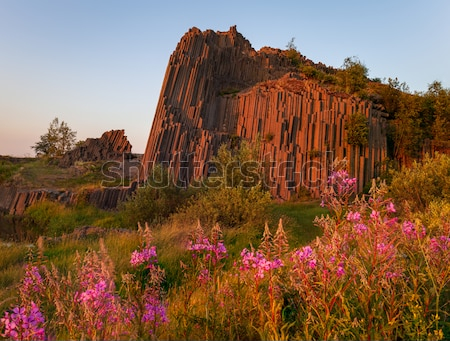 Постер Великолепный вечерний пейзаж с полевыми цветами и Панской Скалой (Чехия)  