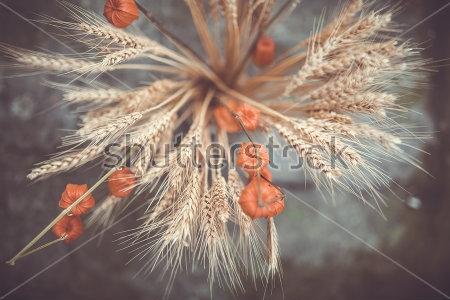 Картина Красивый букет из колосьев пшеницы и ярких ветвей физалиса с плодами 