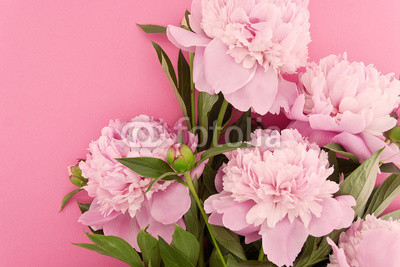 Постер Красивый букет из розовых и белых пионов