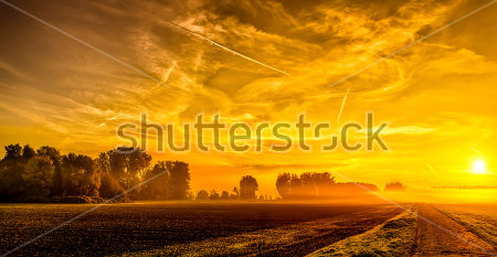Картина маслом Пейзаж с прекрасным золотым закатом 