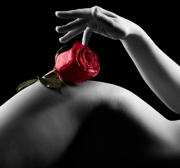 Постер Красная роза на женском теле 