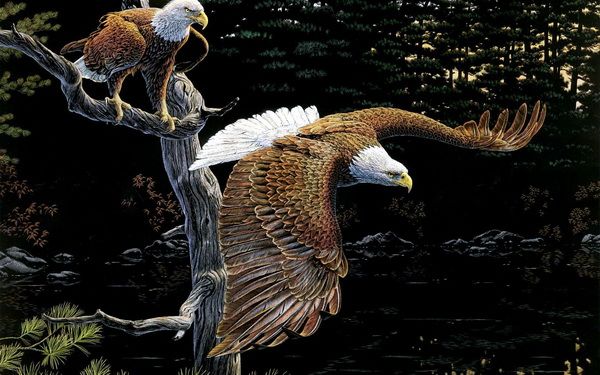 Картина Орлы (The Eagles) 