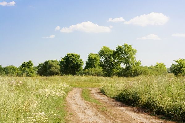 Картина дорога в поле