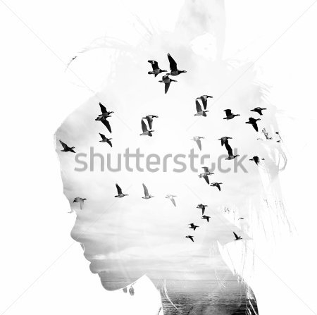 Картина маслом Двойная экспозиция - голова девушки и птицы 