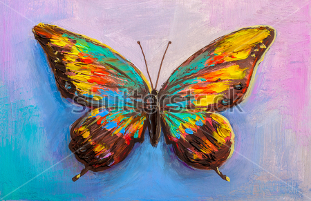 Приметы о бабочках: цвета насекомых, которые предвещают счастье