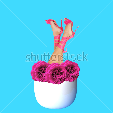 Картина Коллаж с белой цветочной клумбой, из которой растут ноги в розовых туфлях на высоком каблуке 