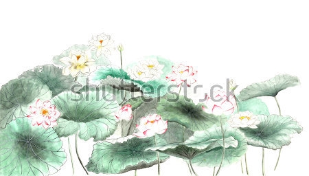 Картина Тонкий акварельный рисунок кувшинок с листьями в японском стиле 