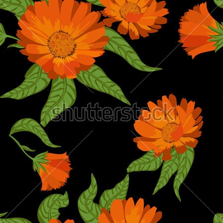 Картина Яркая композиция оранжевых цветов календулы с зелёными листьями на чёрном фоне 