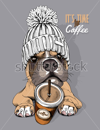 Постер Забавный пёс породы боксёр в шапке с помпоном и стаканчиком кофе на сером фоне  