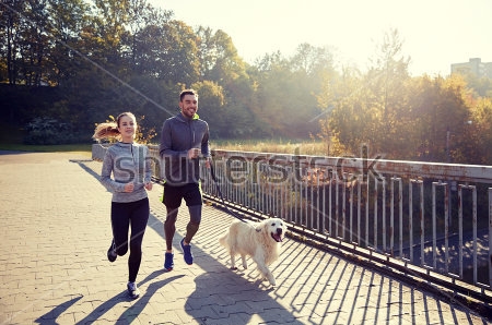 Картина Счастливая молодая пара с собакой бегают на свежем воздухе 