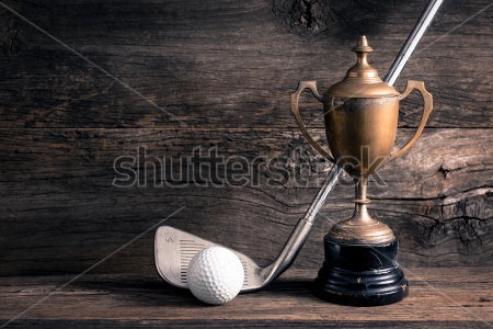 Картина Красивый натюрморт с клюшкой для гольфа, мячом и кубком на деревянном столе 