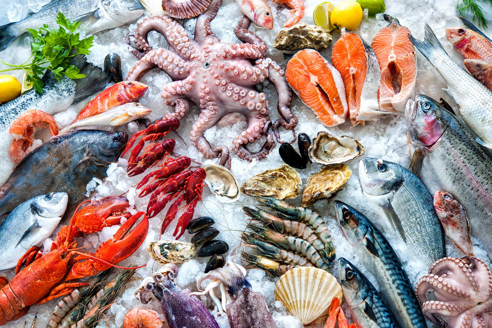 Fish product. Морепродукты. Рыба и рыбопродукты. Красивые морепродукты. Морские продукты.