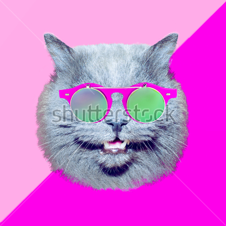 Картина Яркий коллаж в оттенках пурпурного цвета с головой кота в стильных очках 