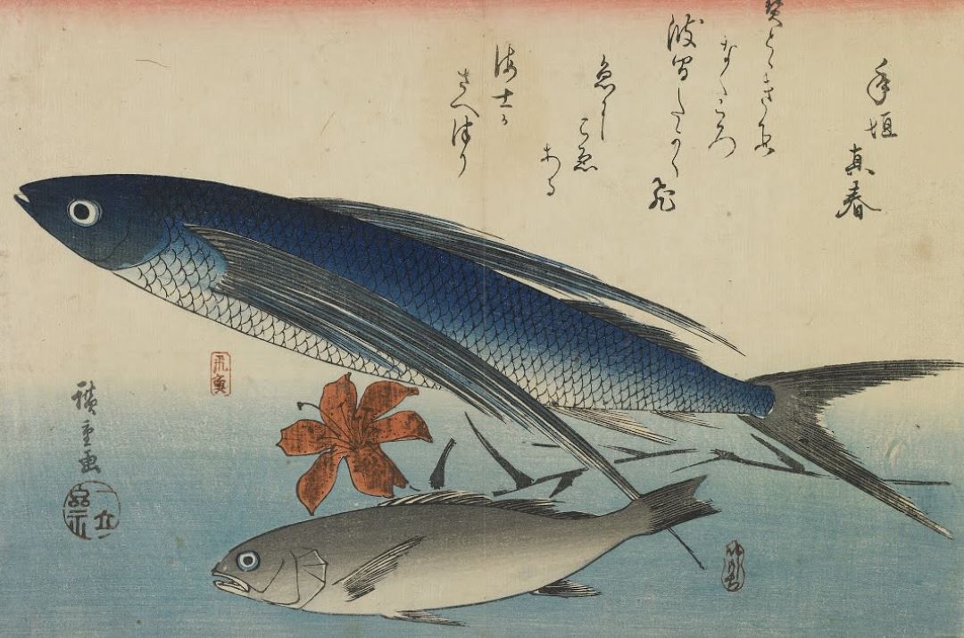 Картина Летающая рыба и белый горбыль (1840-1842) (Flying fish (tobiuo) and white croaker (ishimochi), from the second series of fish prints) Утагава Хиросигэ