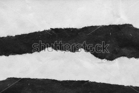 Картина Сочетание чёрного и белого в абстрактном пейзаже 