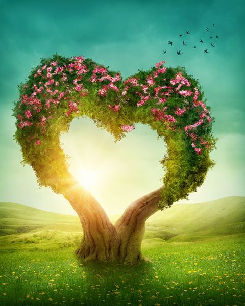 Картина Дерево в виде сердца на холсте, Арт. - купить в интернет-магазине Photostena
