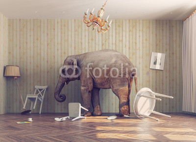 Картина Слон в комнате 
