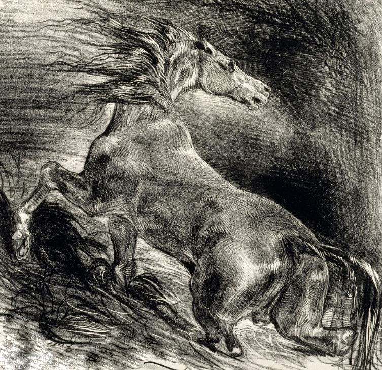 Постер Дикая лошадь (1828)  
