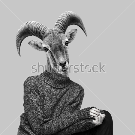 Картина Забавный коллаж человека в свитере с головой горного козла 