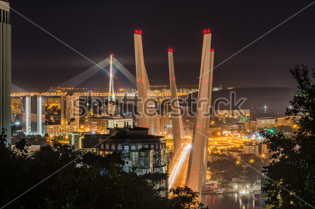 Картина Фантастическая панорама огней ночного Владивостока с видом на Золотой мост 