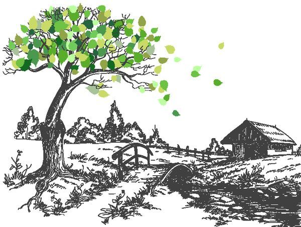 Постер Зелёное дерево перед мостом ведущем к дому  