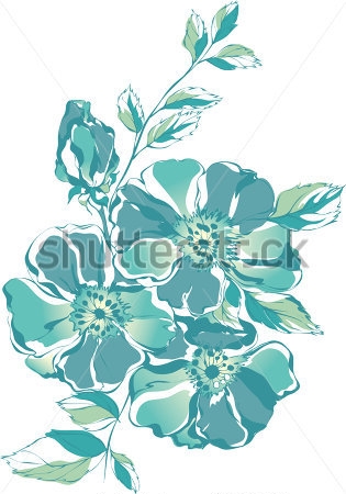 Картина Монохромная иллюстрация красивых цветов олеандра на белом фоне 