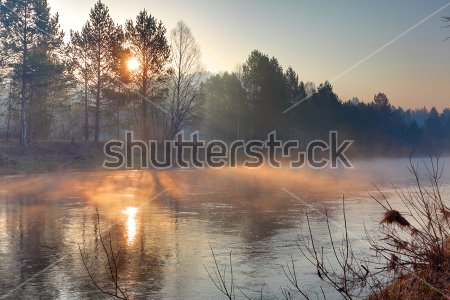 Постер Туман над рекой и лесом в лучах заходящего солнца  