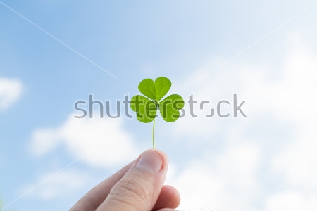Картина Зелёный трилистник клевера в руке на фоне голубого неба 