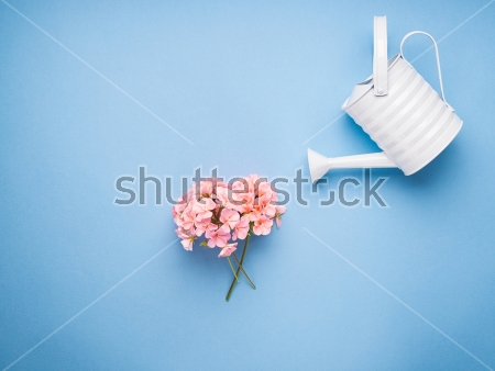 Картина Нежная композиция из белой садовой лейки и букетика розовой герани на голубом фоне 