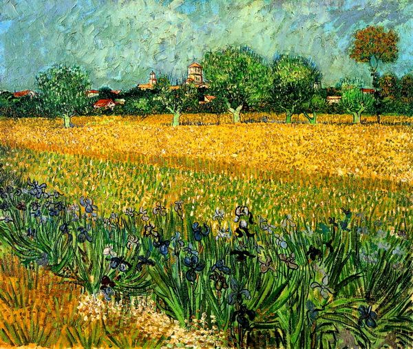 Постер Вид на Арль с ирисами на переднем плане (View of Arles with Irises in the Foreground) Ван Гог Винсент