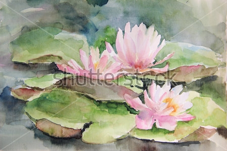 Картина Акварельный рисунок розовых кувшинок в пруду 