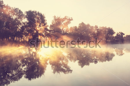 Постер Прекрасный пейзаж с утренним туманом на берегу реки с деревьями в золотых лучах восходящего солнца   