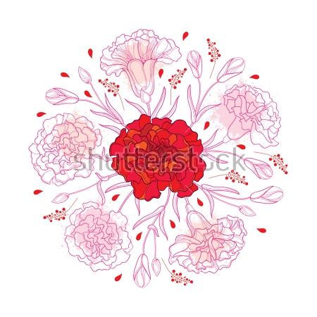 Картина Иллюстрация с цветочной композицией из гвоздик - красной и розовых 