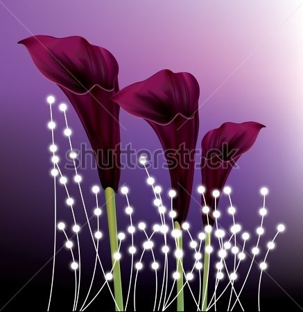 Картина Яркая композиция с тёмно-бордовыми каллами и светящимися гирляндами на фиолетовом фоне 
