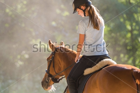 Картина Молодая девушка верхом на лошади  