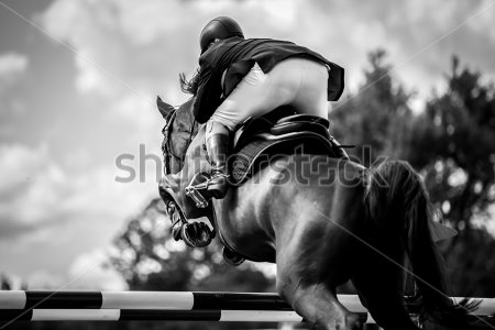 Картина Жокей на лошади прыгает через барьер 