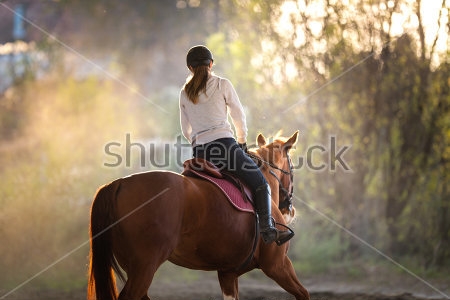 Картина Девушка скачет на лошади  