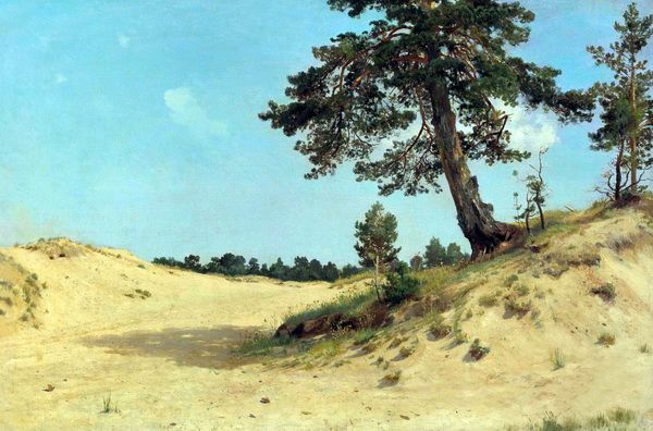 Постер Сосна на песке (Pine on the sand) Шишкин Иван