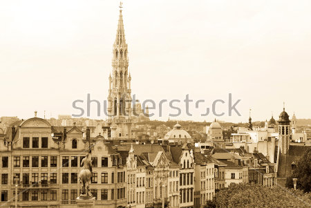 Картина Панорама Брюсселя с городской ратушей 