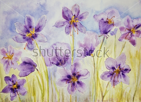 Картина Акварельный рисунок поляны с фиолетовыми крокусами 